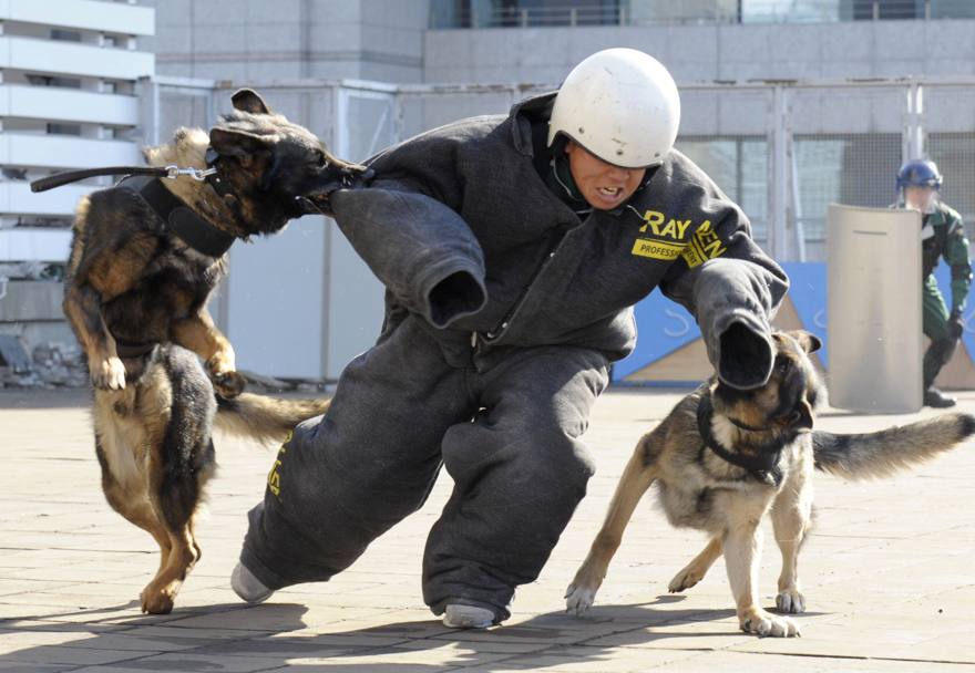 Un&#39;esercitazione antiterrorismo della polizia in vista della Maratona a Tokyo (Ap)